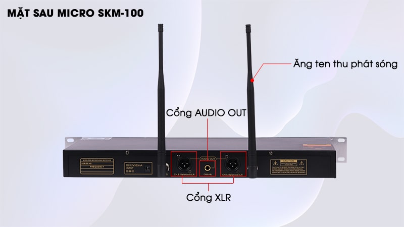 Micro Karaoke Eudac Audio SKM-100